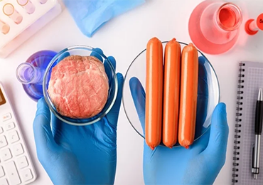 Food from a synthetic biology lab? What taste bud experiences are opened?